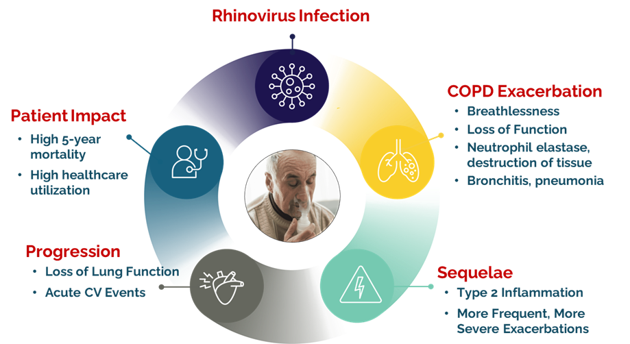 Rhinovirus Infection